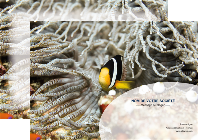 imprimerie affiche animal poisson plongee nature MIFCH37929