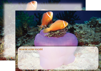 imprimer flyers animal poissons rouge plongee univers sous marine MLGI37999