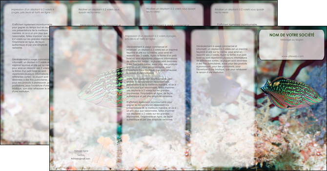 faire modele a imprimer depliant 4 volets  8 pages  plongee  poisson plongee nature MIDCH38155
