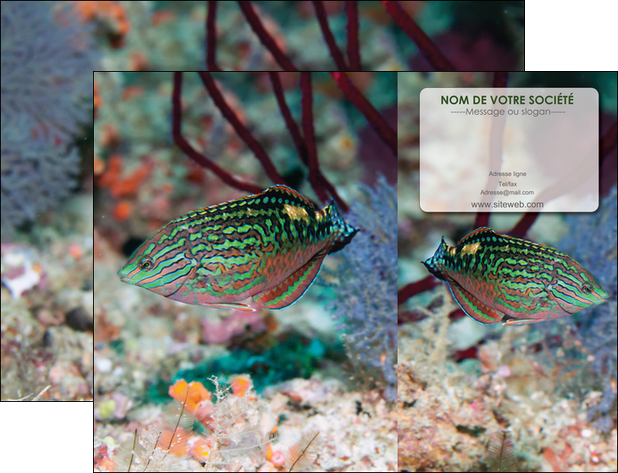 maquette en ligne a personnaliser pochette a rabat plongee  poisson plongee nature MID38161
