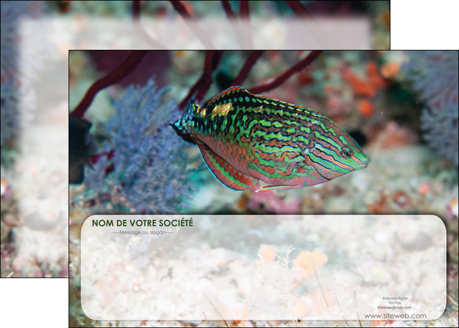 creation graphique en ligne affiche plongee  poisson plongee nature MLIGBE38173