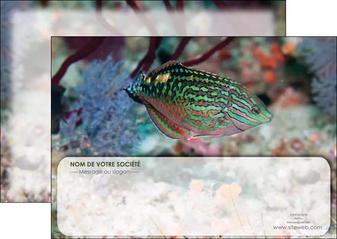 creation graphique en ligne flyers plongee  poisson plongee nature MLGI38177