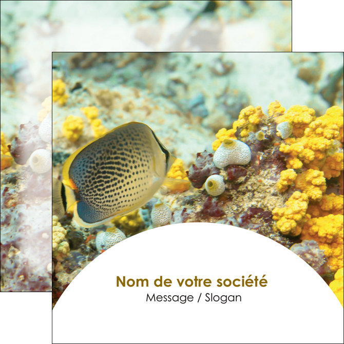 faire flyers animal poisson plongee nature MIDBE38227