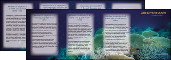 modele en ligne depliant 4 volets  8 pages  chasse et peche algues vertes poissons animal MIDCH38333