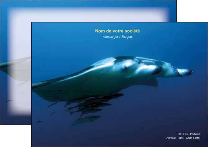 exemple flyers animal poissons animal plongee MLGI38815