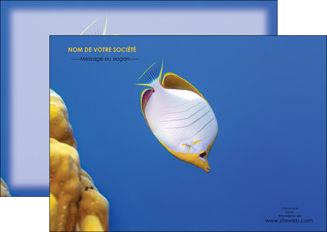 modele flyers poisson et crustace poissons mer ocean MIDLU38889