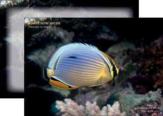 modele en ligne affiche animal poisson animal nature MID38939