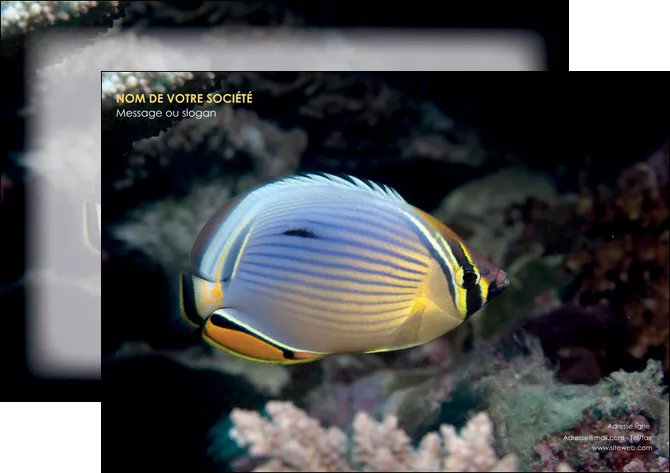 imprimer affiche animal poisson animal nature MLIGLU38941