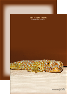 faire affiche animal reptile cameleon animal MLGI39493