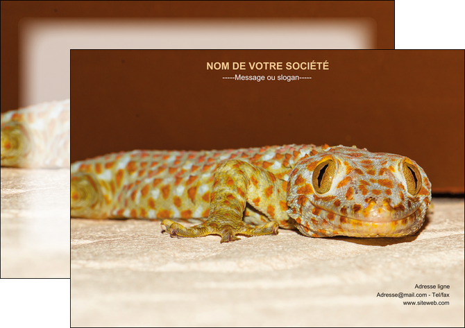 personnaliser maquette affiche animal reptile cameleon animal MLGI39495