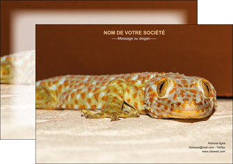 personnaliser maquette affiche animal reptile cameleon animal MLGI39495