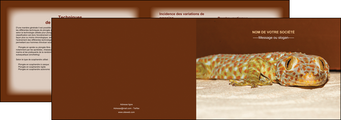 cree depliant 2 volets  4 pages  animal reptile cameleon animal MLGI39519