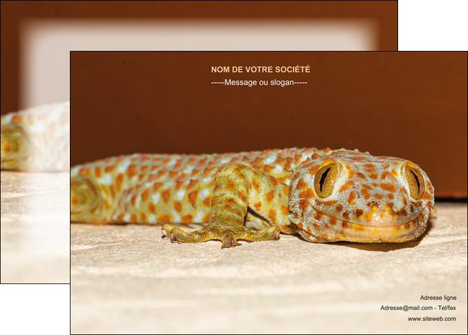 exemple affiche animal reptile cameleon animal MLGI39525