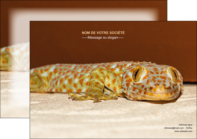 faire modele a imprimer affiche animal reptile cameleon animal MLGI39527