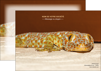 faire modele a imprimer affiche animal reptile cameleon animal MLGI39527