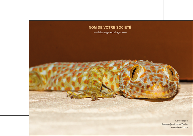 impression affiche animal reptile cameleon animal MLGI39529