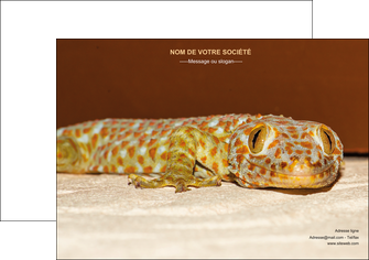 impression affiche animal reptile cameleon animal MLGI39529