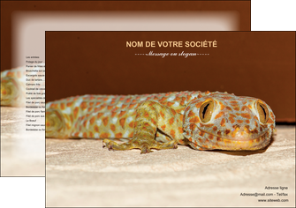 faire modele a imprimer set de table animal reptile cameleon animal MLGI39535