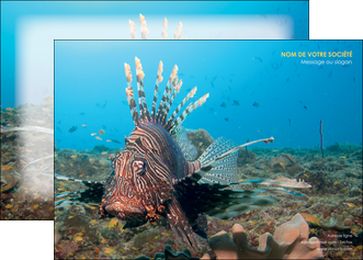 creer modele en ligne affiche animal poissons animal bleu MIF39581