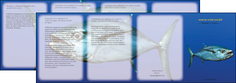 modele en ligne depliant 4 volets  8 pages  animal poissons animal bleu MLIG39599