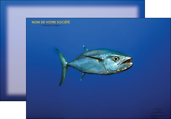 modele affiche animal poissons animal bleu MIF39603
