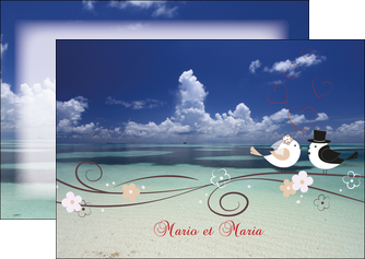 realiser flyers oiseaux couple doiseaux ciel MLGI39723