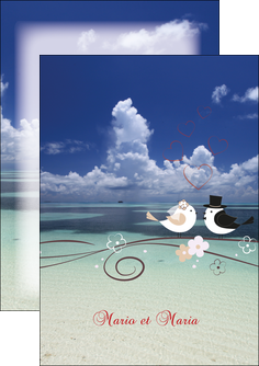 modele flyers oiseaux couple doiseaux ciel MLGI39733