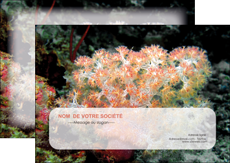 modele flyers fleurs fleurs sous marine herbier MLGI39957