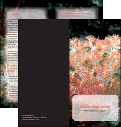 realiser depliant 2 volets  4 pages  fleurs fleurs sous marine herbier MLGI39963