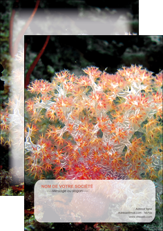 faire flyers fleurs fleurs sous marine herbier MLGI39967