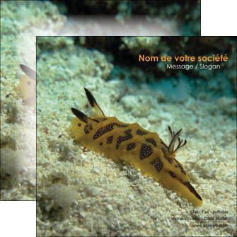 modele flyers animal crevette crustace animal MLIP40119