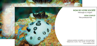 imprimer carte de correspondance animal poisson sous marine nature MID40159