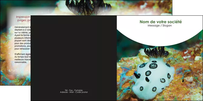 imprimerie depliant 2 volets  4 pages  animal poisson sous marine nature MLGI40163
