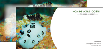 modele en ligne flyers animal poisson sous marine nature MIFCH40165