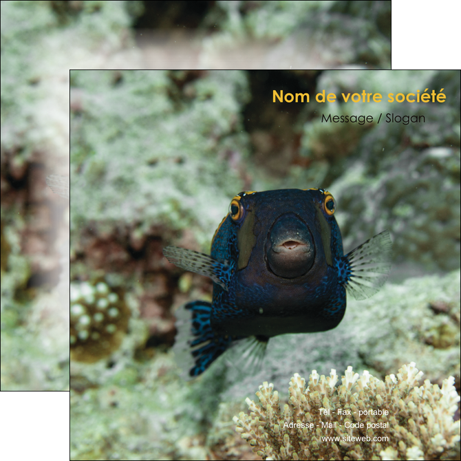 modele flyers animal poisson sous marine nature MIFBE40207