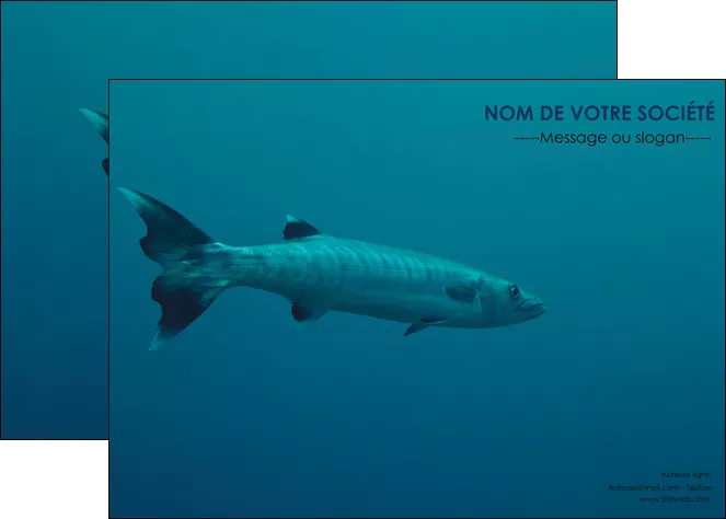 realiser affiche animal poisson plongee nature MIFBE40361