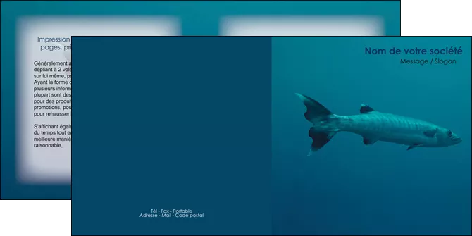 imprimerie depliant 2 volets  4 pages  animal poisson plongee nature MLGI40369