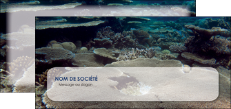 exemple flyers plongee  massif de corail mer nature MIF40627