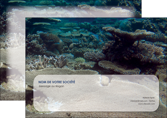 modele flyers plongee  massif de corail mer nature MIDLU40629