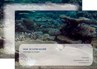 exemple flyers plongee  massif de corail mer nature MID40635