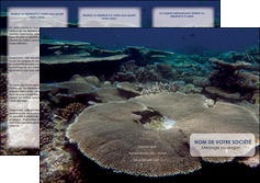 exemple depliant 3 volets  6 pages  plongee  massif de corail mer nature MIS40637
