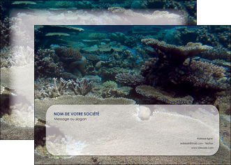 imprimer affiche plongee  massif de corail mer nature MIF40645