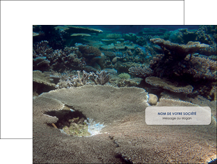 impression pochette a rabat plongee  massif de corail mer nature MIFCH40651