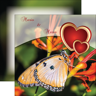 cree flyers papillon verte nature MIFCH41571
